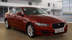 JAGUAR XE 2015 (65) at Pace Automotive Aylesbury