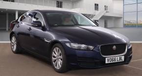 JAGUAR XE 2016 (66) at Pace Automotive Aylesbury
