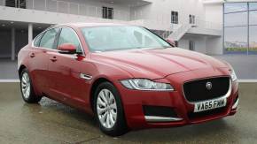 JAGUAR XF at Pace Automotive Aylesbury