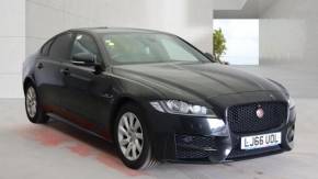 JAGUAR XF at Pace Automotive Aylesbury
